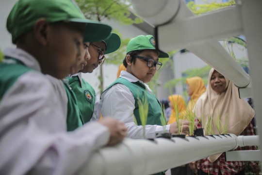 Antusiasme Murid SD Belajar Hidroponik di Balai Kota Farm