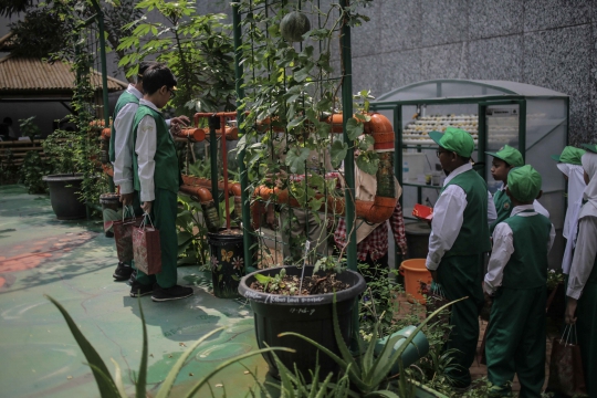 Antusiasme Murid SD Belajar Hidroponik di Balai Kota Farm