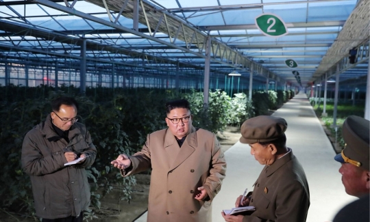 Wajah Kim Jong-un Saat Lihat Sayuran di Dalam Rumah Kaca