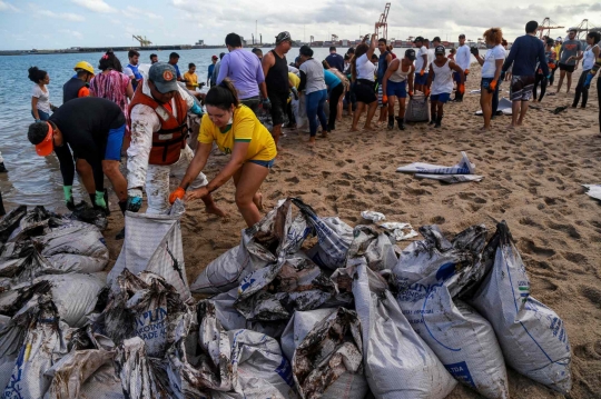 Tebalnya Tumpahan Minyak di Pantai Brasil