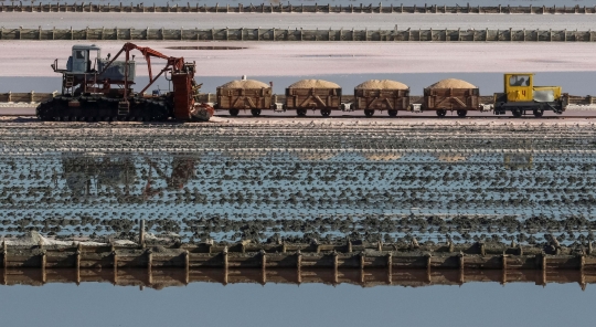 Menengok Danau Garam Merah Muda di Rusia