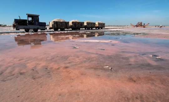 Menengok Danau Garam Merah Muda di Rusia