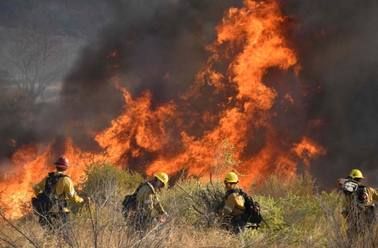 Hutan California Kembali Membara