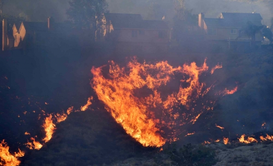 Hutan California Kembali Membara