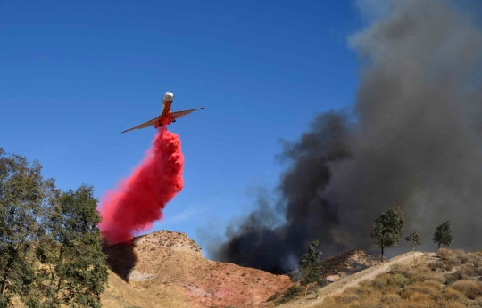 Hutan California Kembali Membara