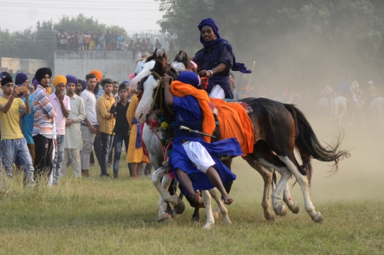 Kuda Mengamuk Saat Perayaan Divas di India