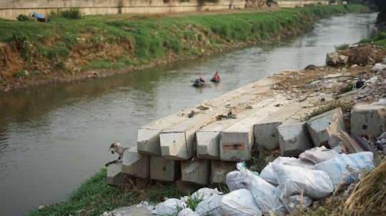 Tiang Pancang Normalisasi Ciliwung Terbengkalai Bertahun-tahun di Rawajati