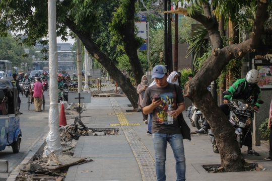 Giliran Pohon-Pohon di Kramat Raya Terancam Ditebang