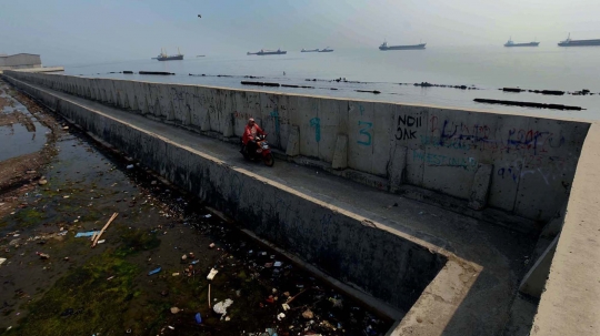 Potret Jakarta yang Terancam Tenggelam