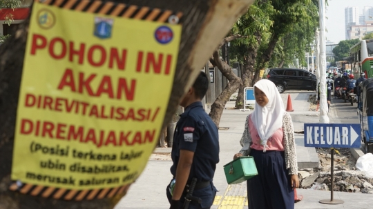 Tidak Hanya Trotoar, Pohon-Pohon Juga Akan Direvitalisasi oleh Pemprov DKI