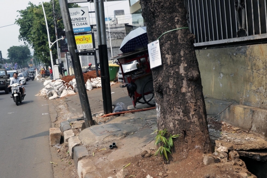 Pohon-Pohon di Kemang Juga Terancam Ditebang