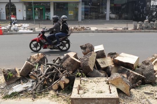 Pohon-Pohon di Kemang Juga Terancam Ditebang