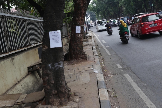 Pohon-Pohon di Kemang Juga Terancam Ditebang