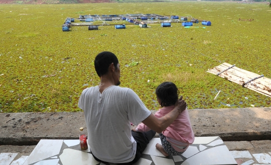 Setu Sawangan yang Dipenuhi Azzola Vinata