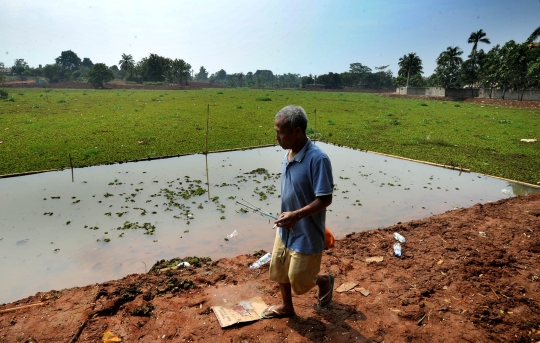 Setu Sawangan yang Dipenuhi Azzola Vinata