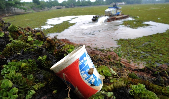 Setu Sawangan yang Dipenuhi Azzola Vinata