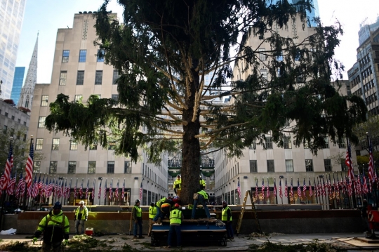 Jelang Natal, New York Pasang Pohon Cemara Raksasa
