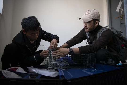 Melihat Detektif Cari Hewan Peliharaan yang Hilang di China