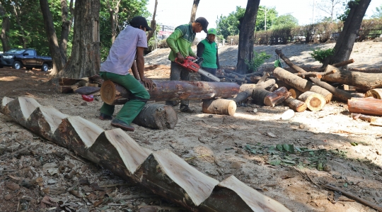 Menengok Pembangunan Taman Dilengkapi Kolam dan Rumah Pohon di Tomang