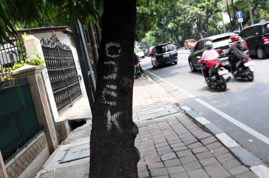 Hari Pohon Sedunia dan Ironi Pohon di Jakarta