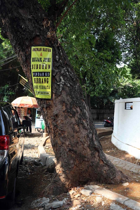 Hari Pohon Sedunia dan Ironi Pohon di Jakarta