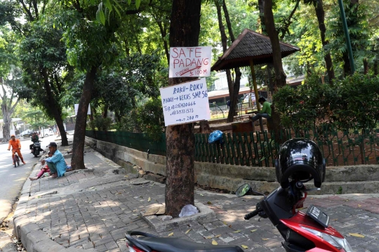 Hari Pohon Sedunia dan Ironi Pohon di Jakarta