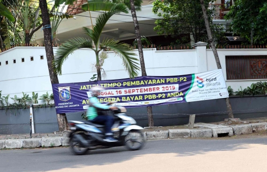 Hari Pohon Sedunia dan Ironi Pohon di Jakarta