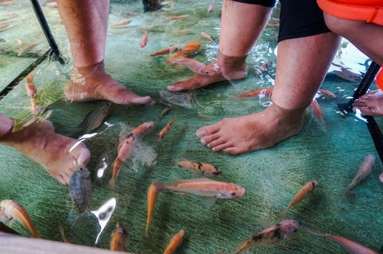 Sensasi Unik Makan Sambil Terapi Ikan di Soto Sokro Kembang