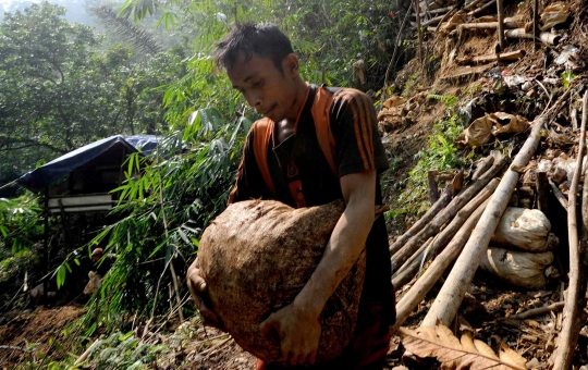 Menelusuri Kehidupan Penambang Emas di Citorek