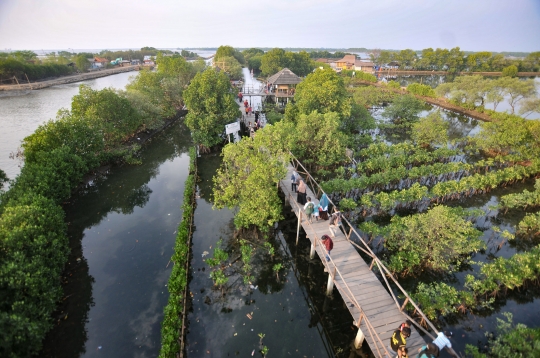 Menikmati Wisata Mangrove Tarumajaya di Akhir Pekan