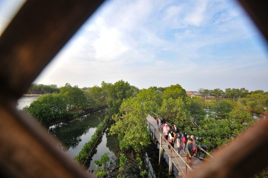 Menikmati Wisata Mangrove Tarumajaya di Akhir Pekan