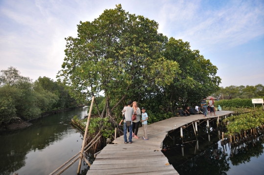 Menikmati Wisata Mangrove Tarumajaya di Akhir Pekan