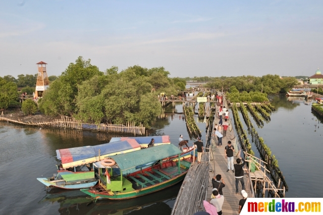 Foto Menikmati Wisata Mangrove Tarumajaya Di Akhir Pekan