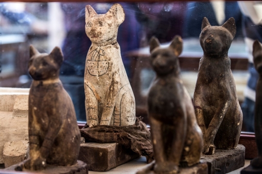 Wujud Mumi Kucing Hingga Buaya Saat Dipamerkan di Mesir