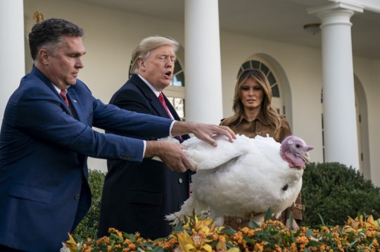 Donald Trump Ampuni Kalkun di Tradisi Thanksgiving