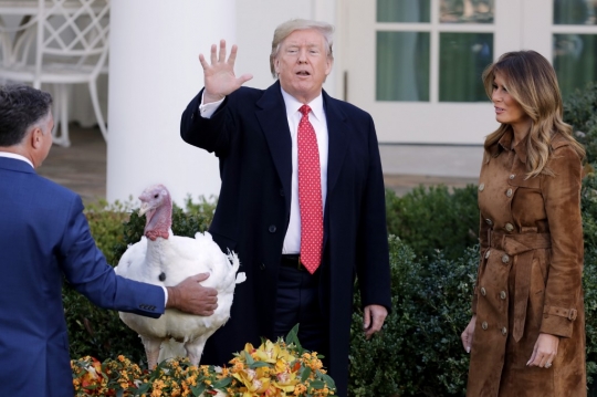 Donald Trump Ampuni Kalkun di Tradisi Thanksgiving
