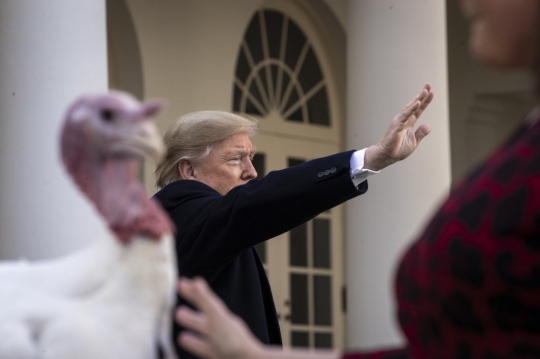 Donald Trump Ampuni Kalkun di Tradisi Thanksgiving