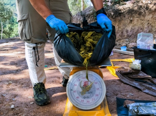 Tragis, Rusa di Thailand Mati dengan Perut Berisi Plastik dan Pakaian Dalam