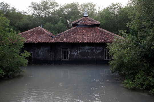 Membayar Mahal Demi Lindungi Rumah dari Penurunan Tanah