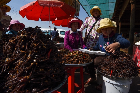 Mencicipi Tarantula Goreng yang Populer di Kamboja