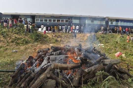Pihak Berwenang Bakar Gajah yang Mati Tertabrak Kereta