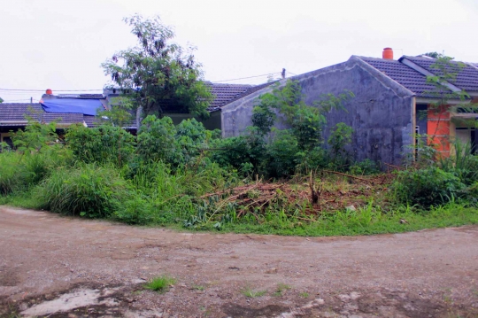 Kerja Bakti, Warga Citayam Village Tangkap Anak Kobra