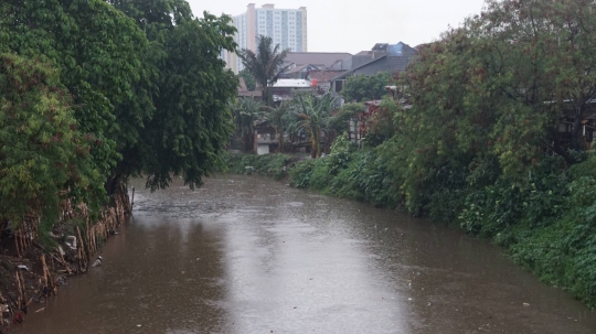 Hujan Sejak Siang, Ketinggian Air Sungai Ciliwung Normal