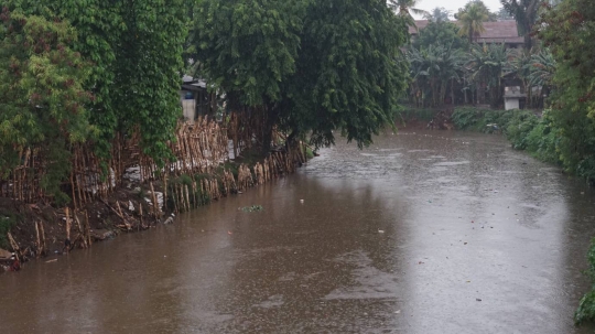 Hujan Sejak Siang, Ketinggian Air Sungai Ciliwung Normal