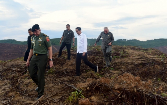 Gaya Jokowi Tinjau Ibu Kota Baru di Sepaku