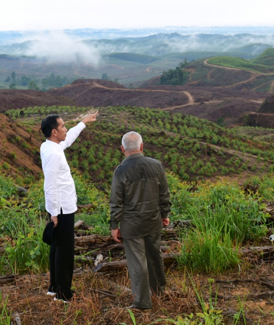 Gaya Jokowi Tinjau Ibu Kota Baru di Sepaku