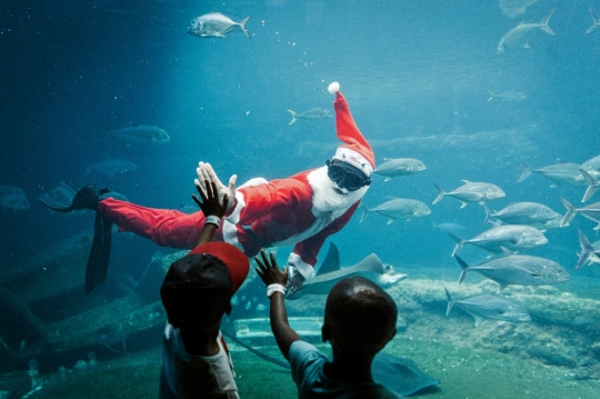 Pertunjukan Sinterklas dan Ikan Pari di Aquarium Raksasa