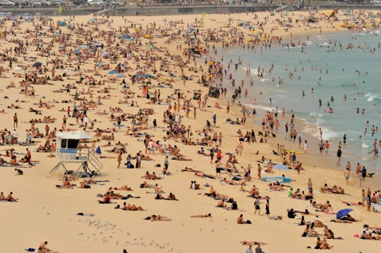 Didera Cuaca Panas, Warga Sydney Penuhi Pantai Bodi