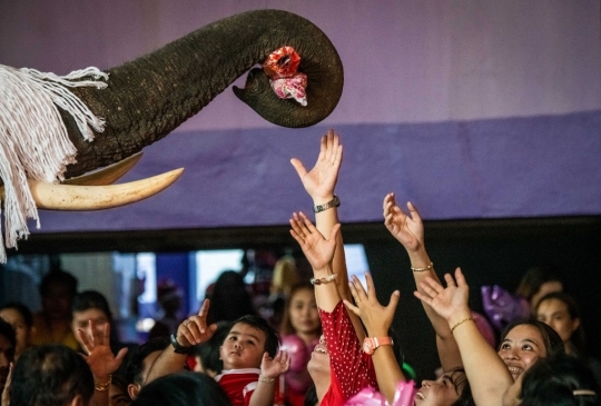 Aksi Gajah Sinterklas Hibur Anak-Anak Thailand