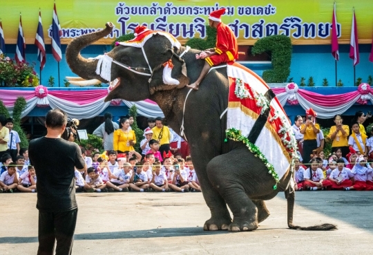 Aksi Gajah Sinterklas Hibur Anak-Anak Thailand